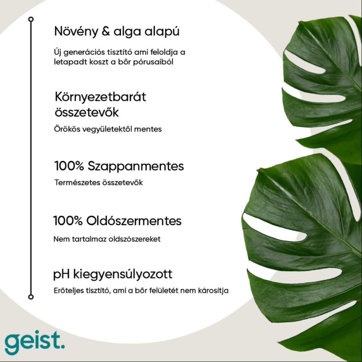 Bőrtisztító és műbőr tisztító - részletes leírás - Geist